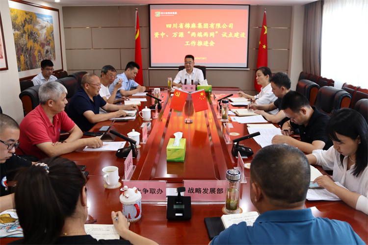 鄧華主持召開資中、萬源“兩端兩網”試點建設工作推進會